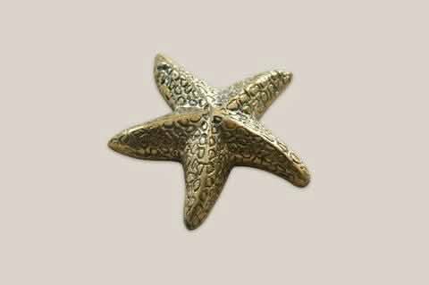 Star Fish Bronze Decoration - Home and Soul